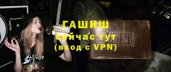 индика Богородск