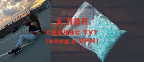 индика Богородск