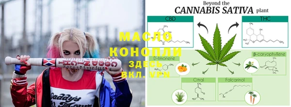 индика Богородск