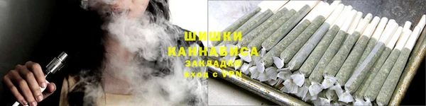 индика Богородск