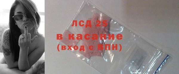 индика Богородск