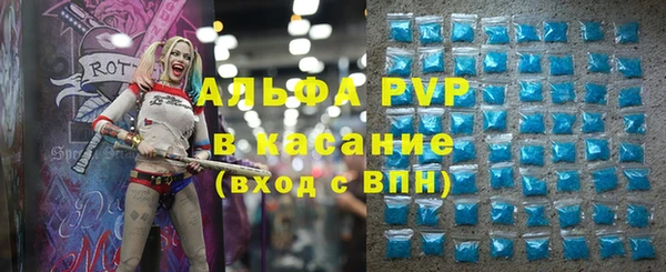 эйфоретик Беломорск