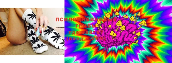 стаф Белоозёрский