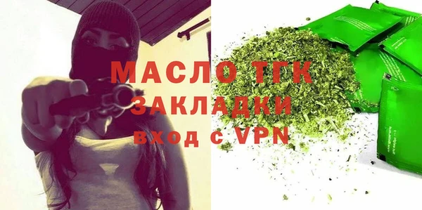индика Богородск