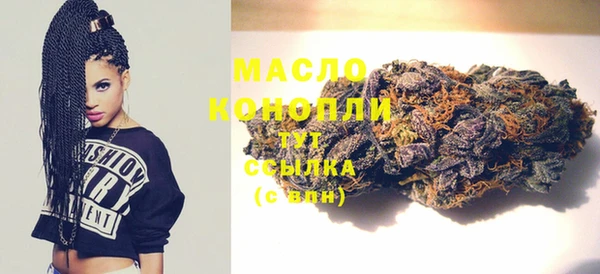 индика Богородск