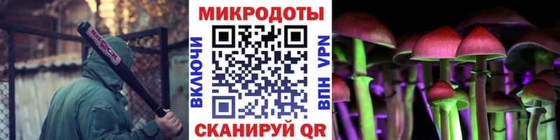 где купить наркоту Няндома Псилоцибиновые грибы Psilocybe
