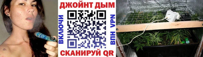 Шишки марихуана индика  Няндома 